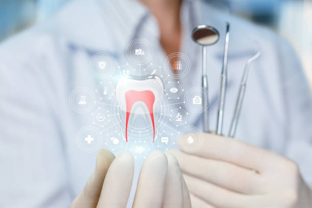 Best Traditional Braces  in Toulon, IL